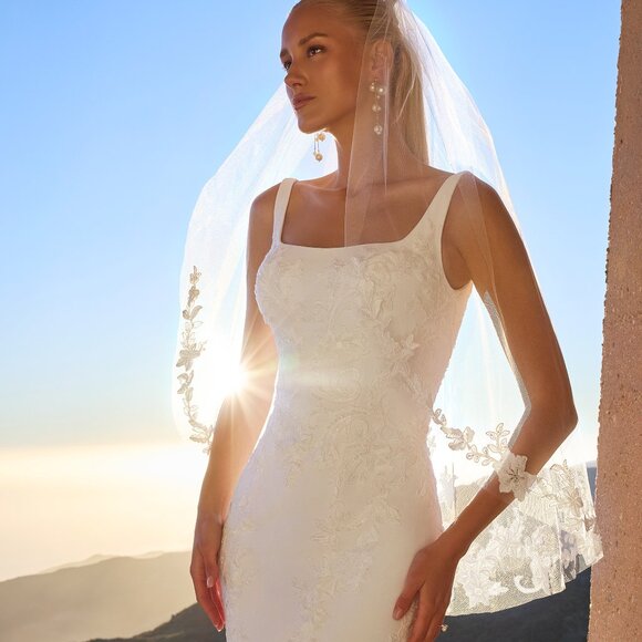 Danita Veil - Picture 1 of 2